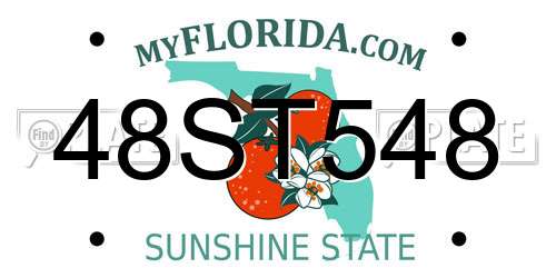 48ST548 Florida License Plate