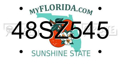 48SZ545 Florida License Plate