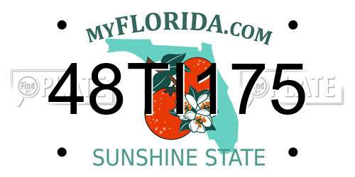 48TI175 Florida License Plate