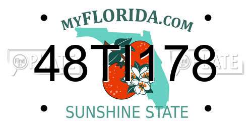 48TI178 Florida License Plate