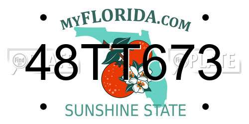 48TT673 Florida License Plate