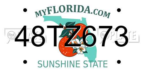 48TZ673 Florida License Plate