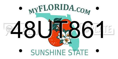 48UT861 Florida License Plate