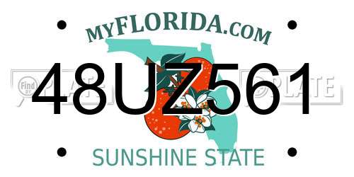 48UZ561 Florida License Plate
