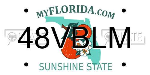 48VBLM Florida License Plate