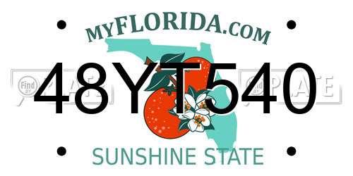48YT540 Florida License Plate