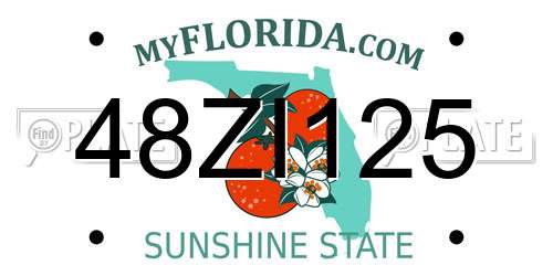 48ZI125 Florida License Plate