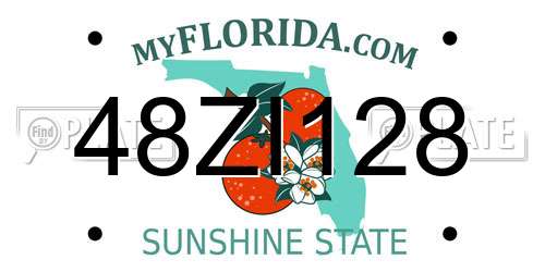 48ZI128 Florida License Plate