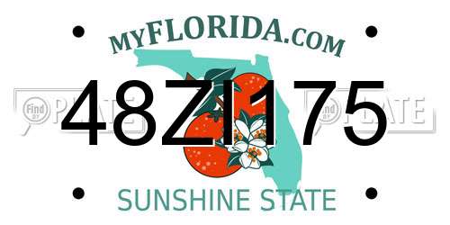 48ZI175 Florida License Plate