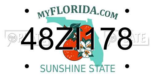 48ZI178 Florida License Plate