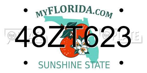 48ZT623 Florida License Plate