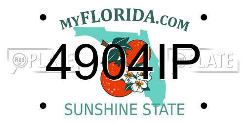 4904IP Florida License Plate