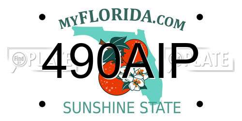 490AIP Florida License Plate