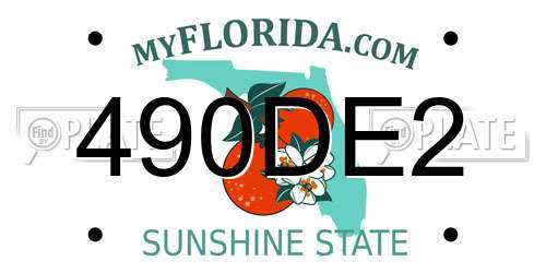 490DE2 Florida License Plate