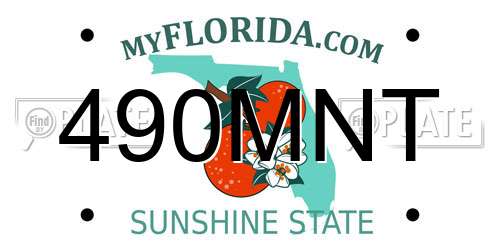 490MNT Florida License Plate
