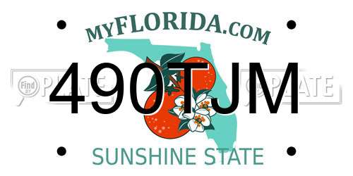 490TJM Florida License Plate