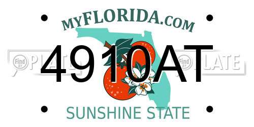 4910AT Florida License Plate