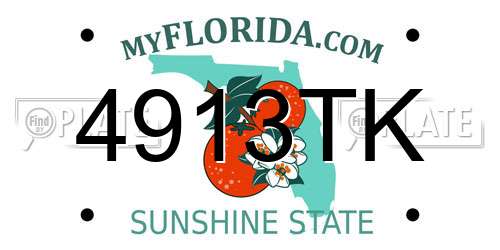 4913TK Florida License Plate