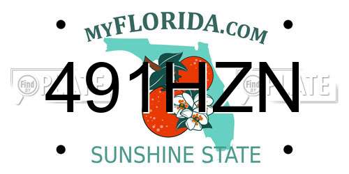 491HZN Florida License Plate