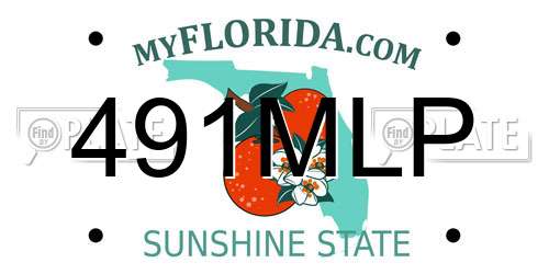 491MLP Florida License Plate