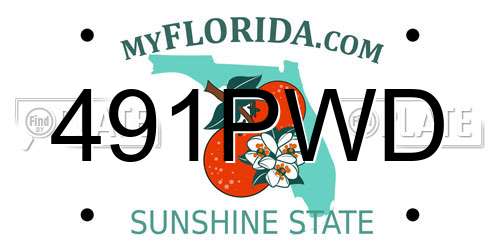 491PWD Florida License Plate