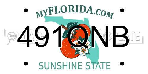 491QNB Florida License Plate