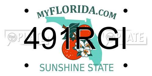 491RGI Florida License Plate