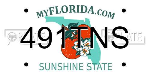 491TNS Florida License Plate