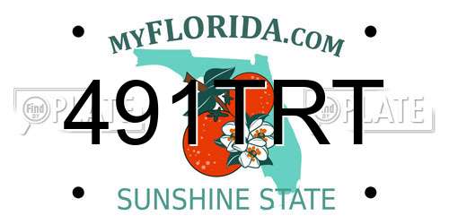 491TRT Florida License Plate