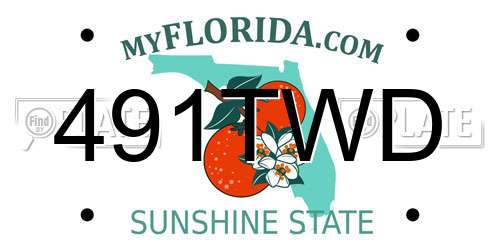 491TWD Florida License Plate