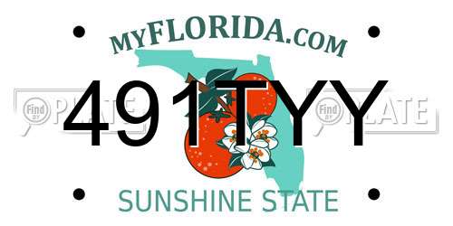 491TYY Florida License Plate