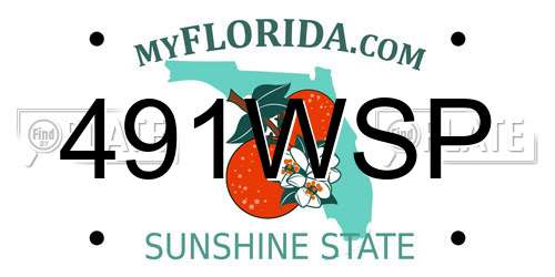 491WSP Florida License Plate