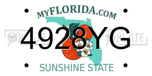 4928YG Florida License Plate