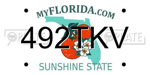 492TKV Florida License Plate