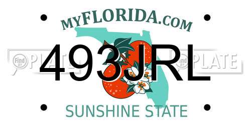 493JRL Florida License Plate