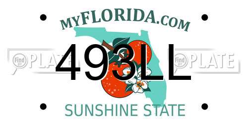 493LL Florida License Plate