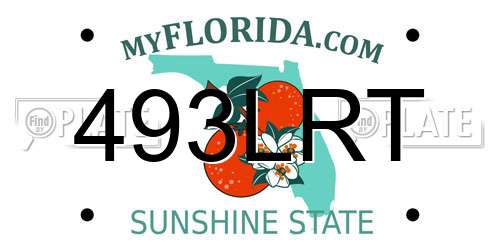 493LRT Florida License Plate
