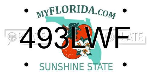 493LWF Florida License Plate