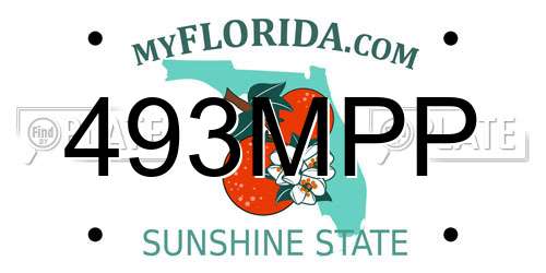 493MPP Florida License Plate
