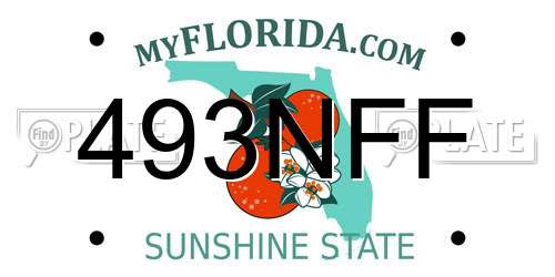 493NFF Florida License Plate