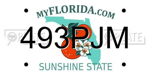 493PJM Florida License Plate