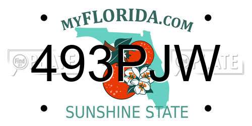 493PJW Florida License Plate