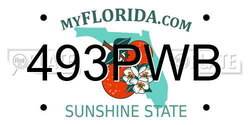 493PWB Florida License Plate