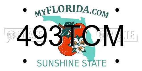 493TCM Florida License Plate