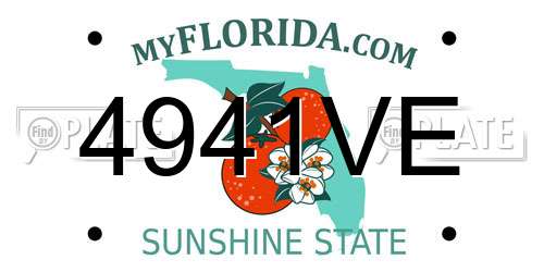 4941VE Florida License Plate