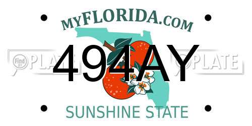 494AY Florida License Plate