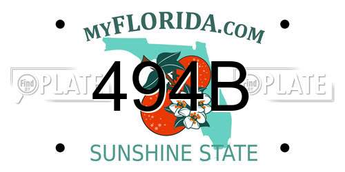 494B Florida License Plate