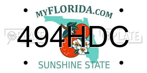 494HDC Florida License Plate