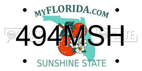 494MSH Florida License Plate