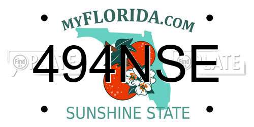 494NSE Florida License Plate